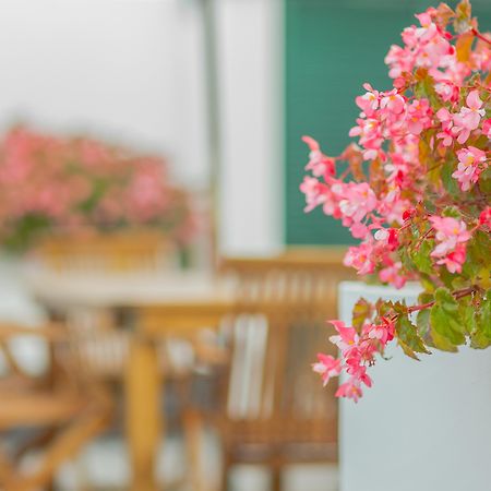 Comercial Boutique Guest House Ponta Delgada Eksteriør billede