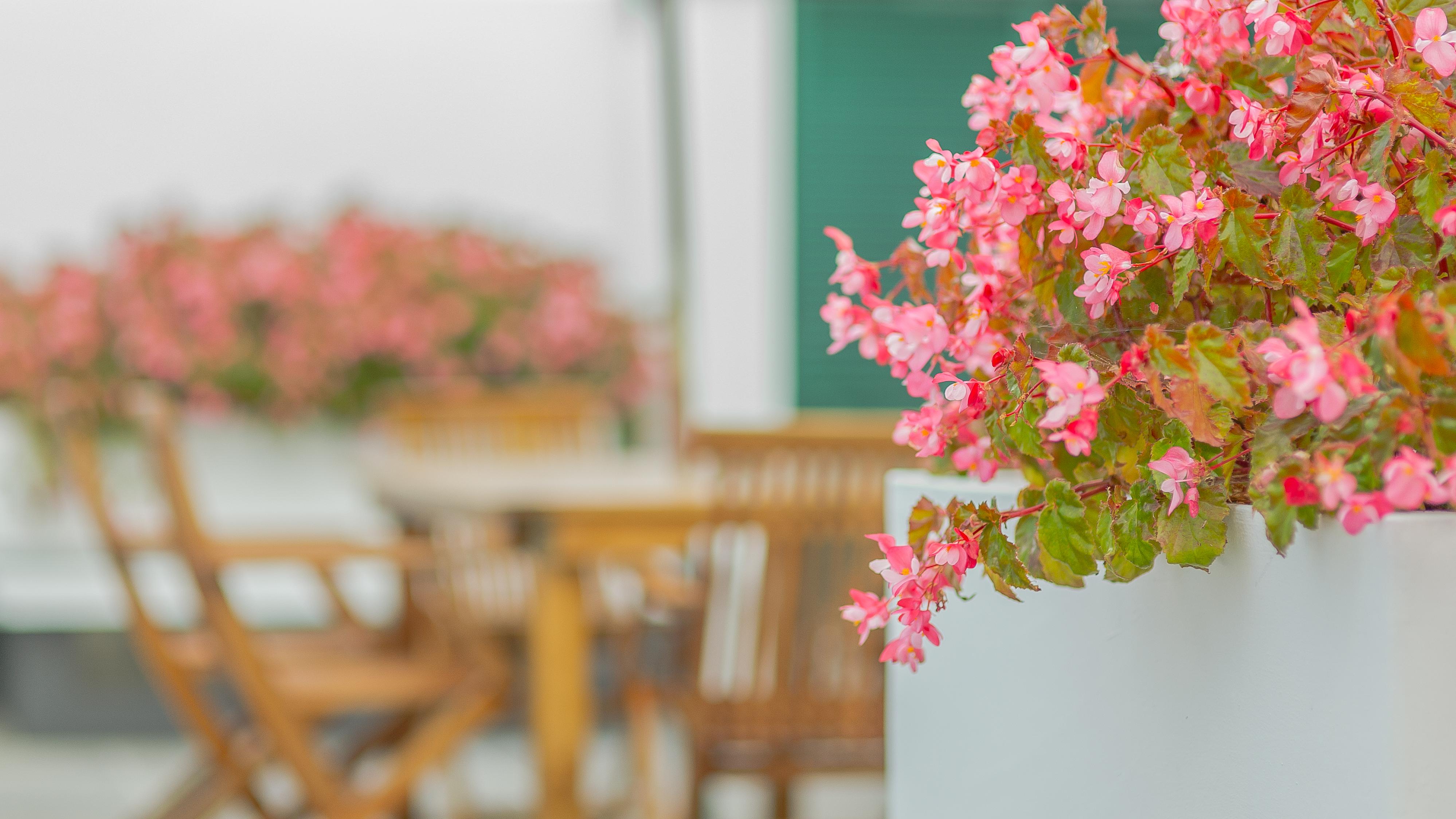 Comercial Boutique Guest House Ponta Delgada Eksteriør billede